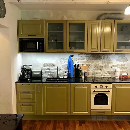 公寓 Kohtu Cozy 库雷萨雷