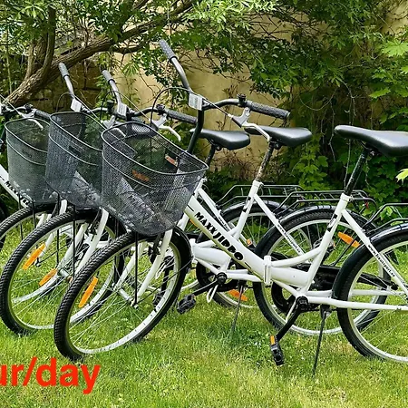 Kohtu Cozy * 库雷萨雷