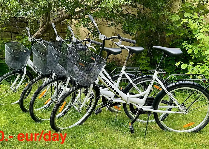 Kohtu Cozy * 库雷萨雷